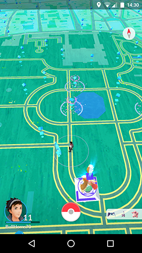 Pokemon GO Screenshot