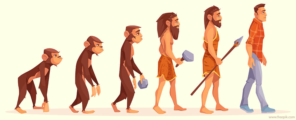 Human evolution